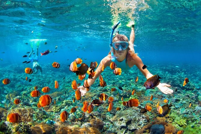 Boatride & Snorkeling then Margaritaville Hipstrip Activity - Starting With Resort Pickup in Montego Bay
