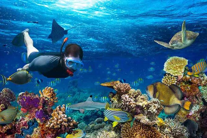Boatride & Snorkeling then Margaritaville Hipstrip Activity - Souvenirs, Shopping, and Driver Advice