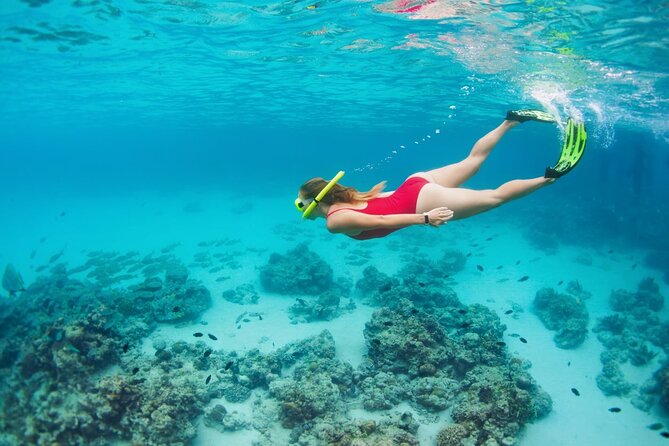 Boatride & Snorkeling then Margaritaville Hipstrip Activity - What the $40 Price Includes