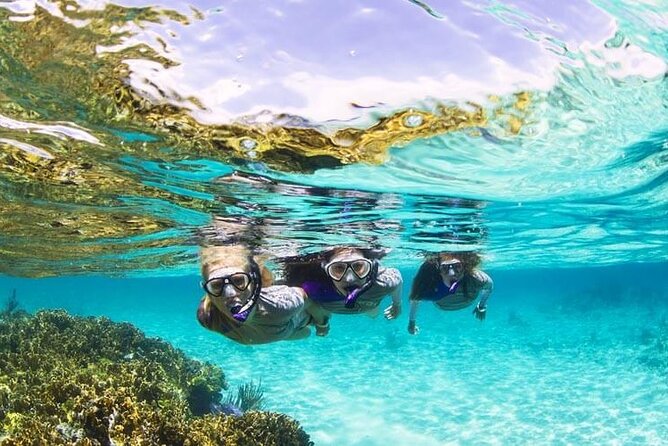 Boatride & Snorkeling then Margaritaville Hipstrip Activity - Margaritaville and the Montego Bay Hip Strip