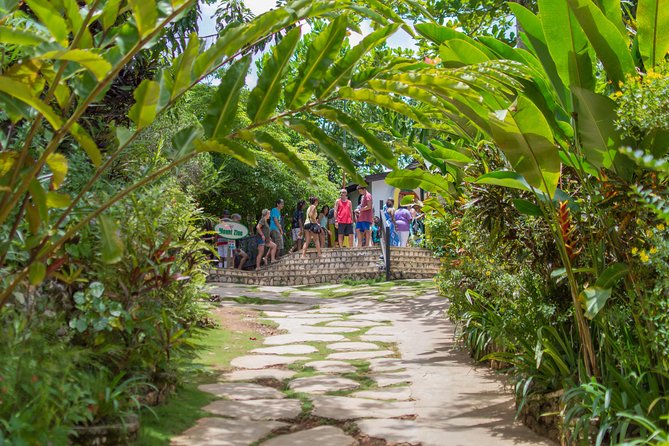 Bob Marley 9 Mile Tour Admission - How much history and education should you expect?