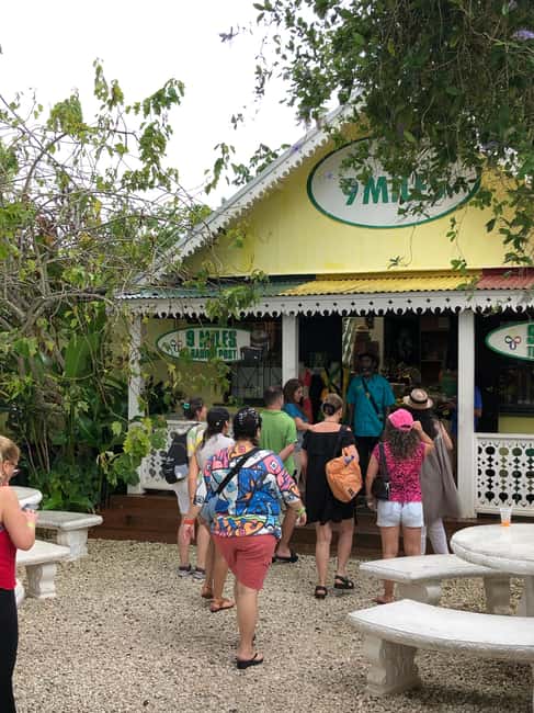 Bob Marley 9 Mile Tour from Montegobay and Falmouth - Practical Tips For A Smoother Day