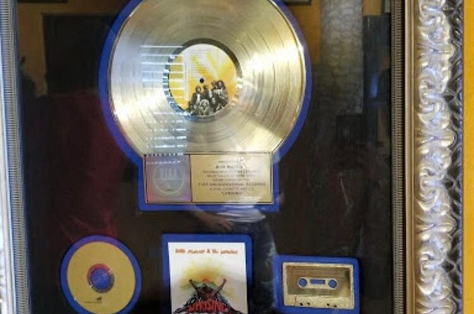 Bob Marley Birth Place Private Tour - Lunch is not included, so budget beyond the $180 price