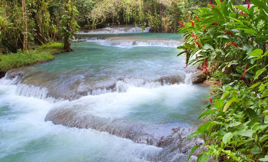 Bob Marley Birthplace and Dunn’s River Falls Private Tour - One day, two very different Jamaican experiences