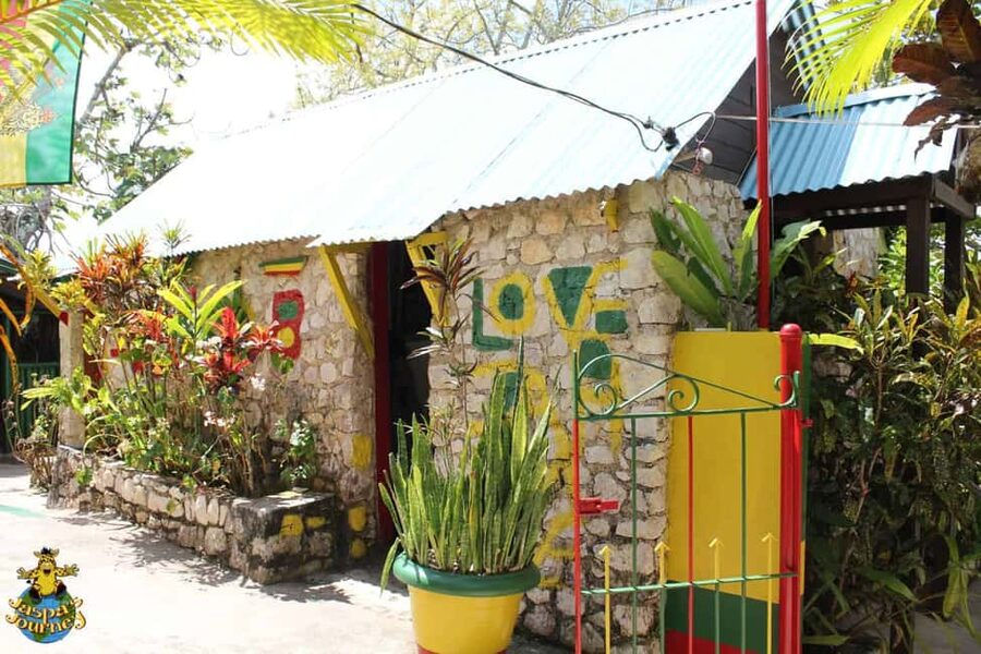 Bob Marley Birthplace and Dunn’s River Falls Private Tour - Nine Mile and the start of Bob Marley’s story