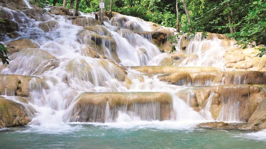 Bob Marley Birthplace and Dunn’s River Falls Private Tour - Optional lunch at a local restaurant