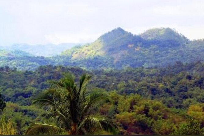 Bob Marley Nine Mile Home Private Tour from Montego Bay - Key details before you book