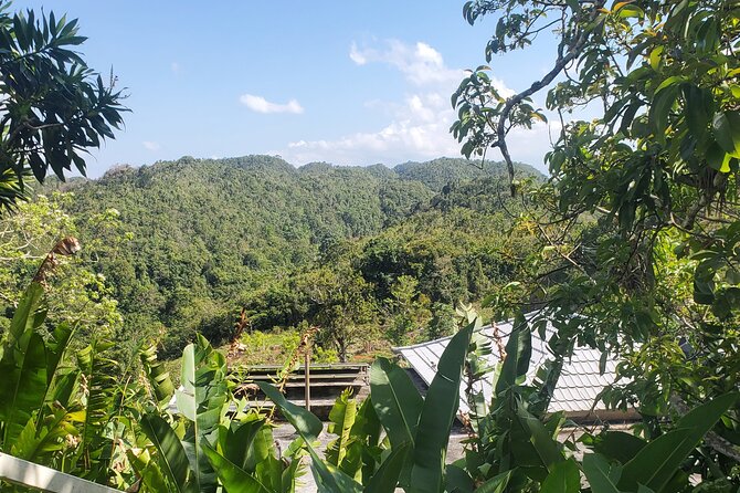 Bob Marley Nine Mile Home Private Tour from Montego Bay - The value of $190 per person
