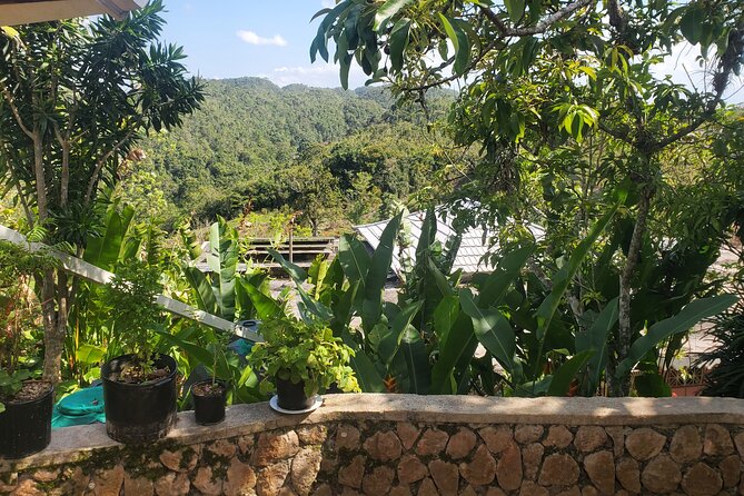 Bob Marley Nine Mile Home Private Tour from Montego Bay - Who will enjoy this tour most