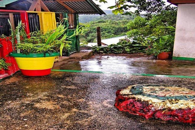 Bob Marley Nine Mile Tour - From Montego Bay - Who will enjoy this Bob Marley excursion most