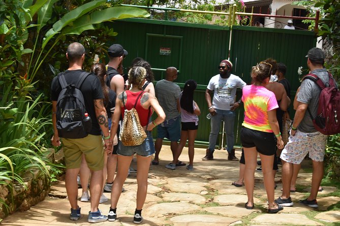Bob Marley's Nine Mile Admission and Guided Tour from Montego Bay - The long road from Montego Bay to Nine Miles