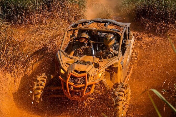 Bush Trails Excursion ATV/Buggy Tour - The real shape of the day from Montego Bay