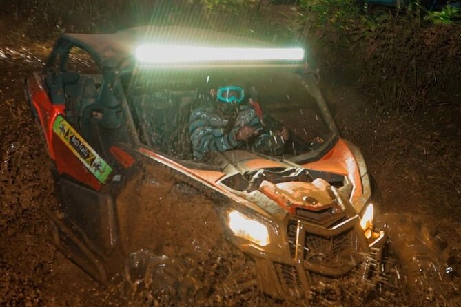 Bush Trails Excursion ATV/Buggy Tour - A private outing with a human touch