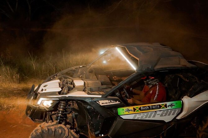 Bush Trails Excursion ATV/Buggy Tour - Who will get the most from this ATV tour?