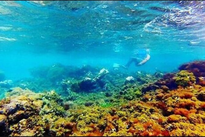 Catamaran Cruise with Dunns River Falls from Montego Bay - Setting sail from Montego Bay