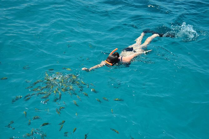 Catamaran Cruise with Snorkeling & Private Transfer Montego Bay - Leaving Montego Bay With Pickup Included