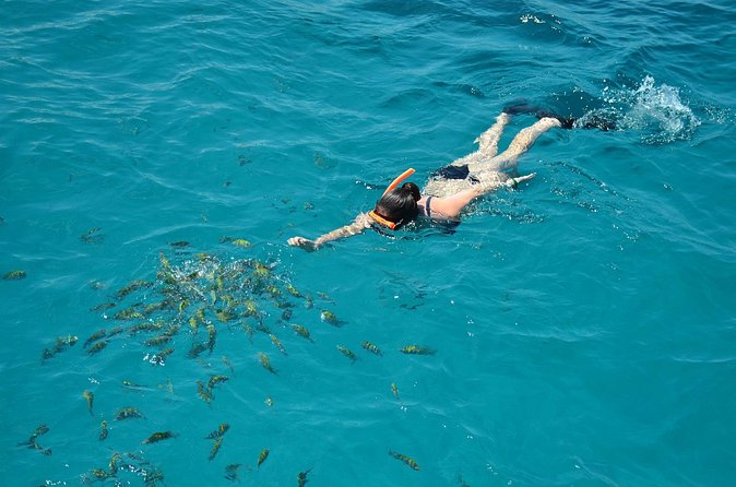 Catamaran Cruise with Snorkeling & Private Transfer Montego Bay - Reggae, Drinks, and the Onboard Mood
