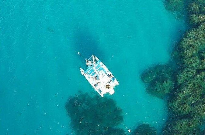 Catamaran, snorkeling & Dunn's River Falls - Who will enjoy this trip most