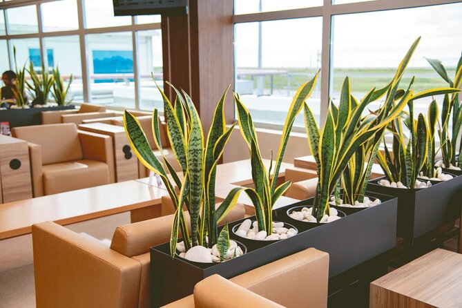 Club Mobay Sangster Airport VIP Lounge with Priority Entry - How much value do you get for $37.50?