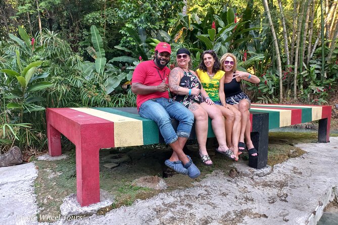 Custom COMBO to Mystic Mountain, Dunns River Falls & Blue Hole - Practical planning tips for a smoother day