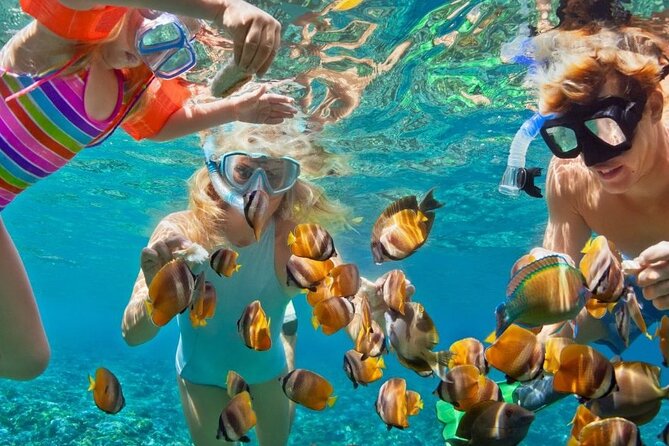 Customize Snorkeling with Option shopping Lunch & Stop local food - Key points to know before booking