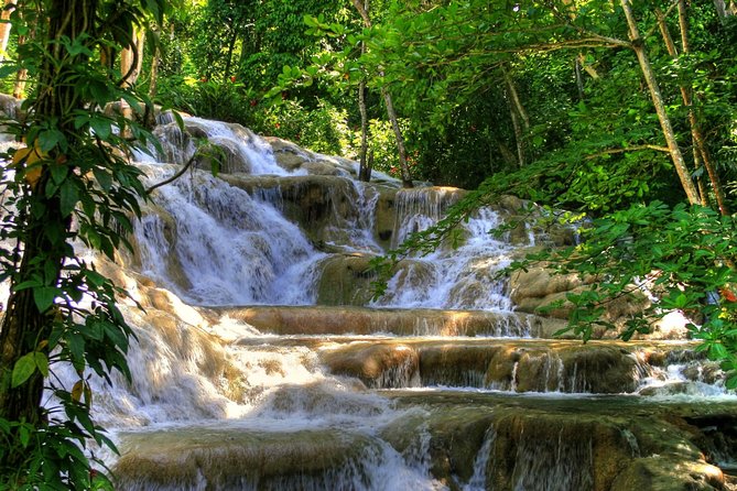 Day Trip to Dunn's River Falls from Montego Bay - Key points to know before booking