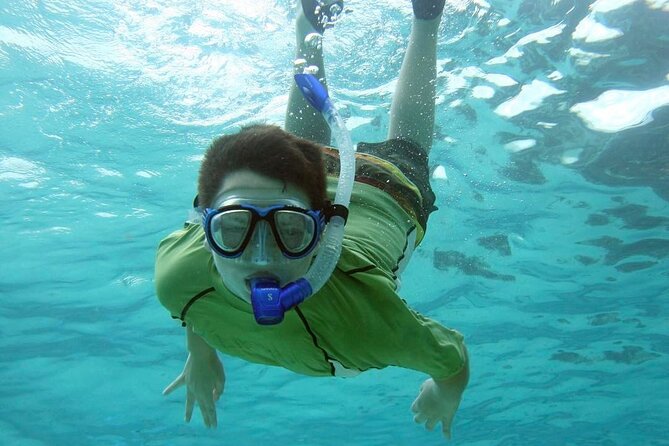 Discover Scuba Diving in Montego Bay-ONE Tank (First time Diving) - The one-tank open-water session