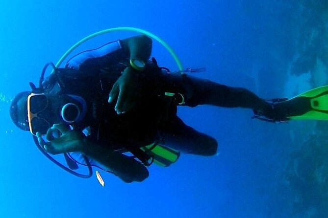 Discover Scuba Diving in Montego Bay-ONE Tank (First time Diving) - Coral, fish, and changing sea conditions