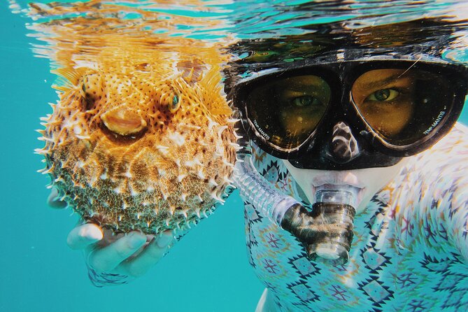Discover Scuba Diving in Montego Bay-ONE Tank (First time Diving) - Learning the basics before entering open water