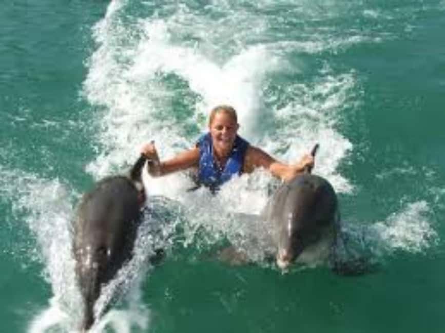 Dolphin Swim Adventure - Key points to know before booking