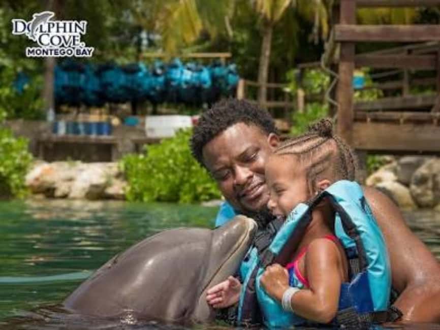 Dolphin Swim Adventure - What the $300 Dolphin Cove price really buys