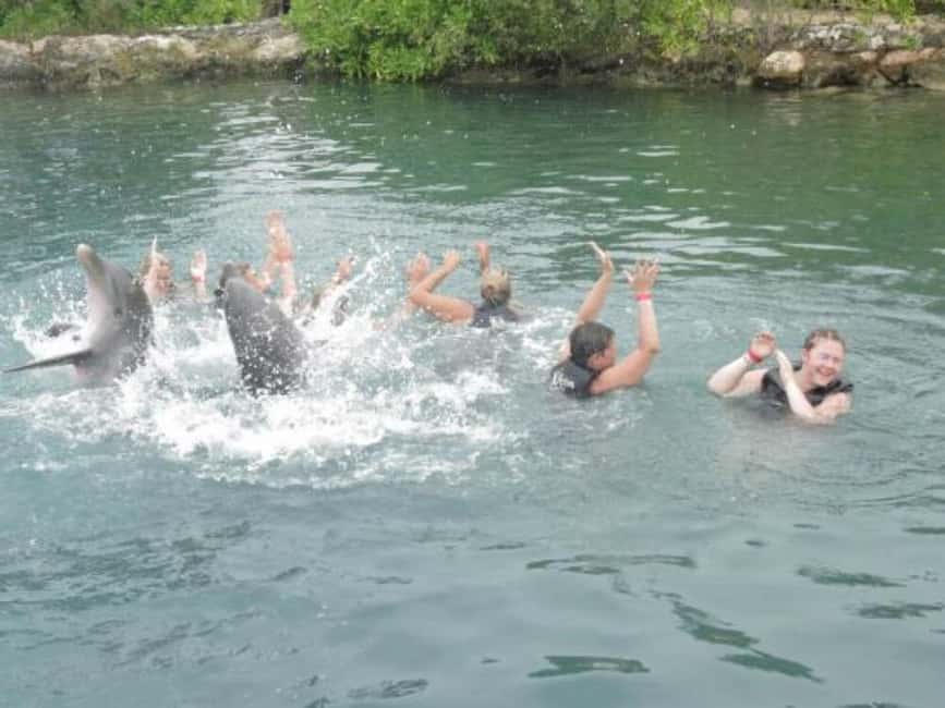 Dolphin Swim Adventure - Hotel pickup begins the private experience
