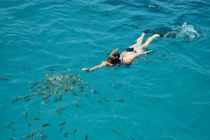 Dreamer Catamaran Montego Bay Cruise to Negril from Falmouth - The crew makes the difference on board