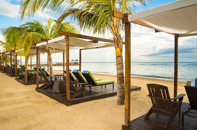 Dreams Rose Hall Resort Private Airport Transfer(Formerly Hilton) - Who will appreciate this transfer most?