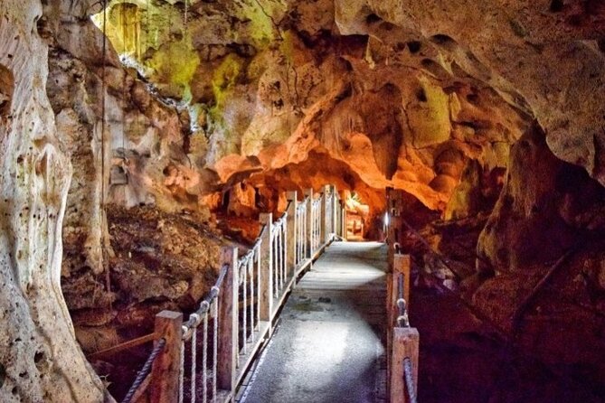 Dunn River falls and green grotto cave fun activities. - Booking, weather, and cancellation details
