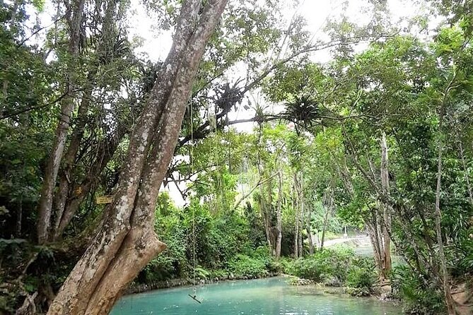 Dunn's Falls and Blue Hole Daytrip with Lunch from Montego Bay & Trelawny - Key things to know before you book