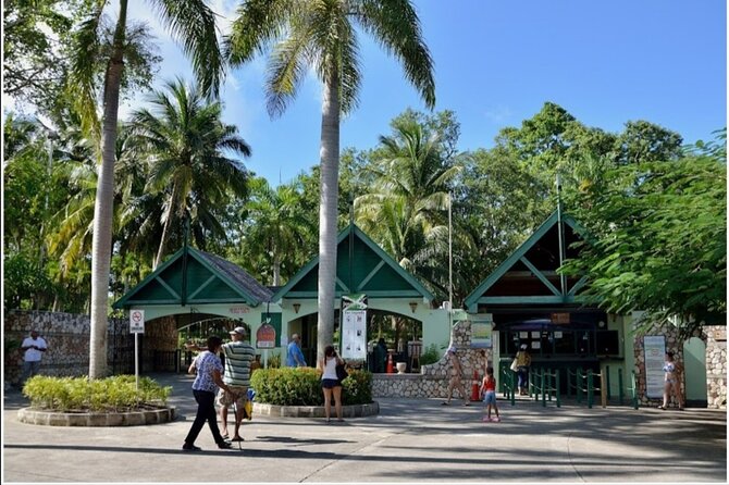 Dunn's River Fall's - The transport experience with Hi-Tech Tours