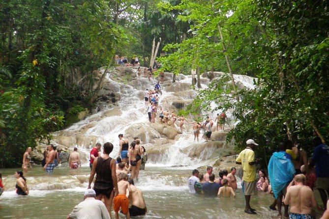 Dunn's River Falls - Key points to know before booking