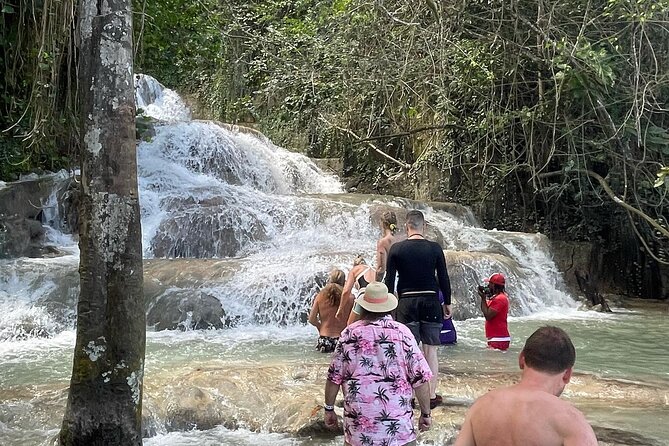 Dunn's River Falls 4 in 1 Experience - Zipline canopy: A quick hit of Jamaican adrenaline