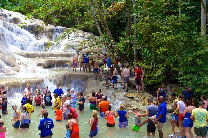 Dunn's River Falls and Blue Hole Adventure from Montego Bay Ja - Private transport from Montego Bay