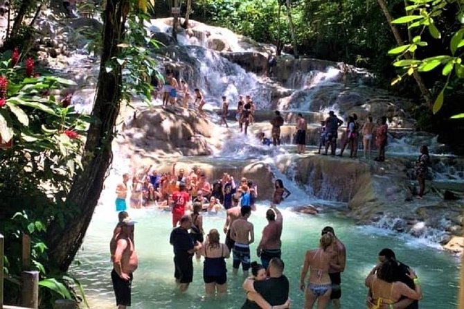 Dunn's River Falls and Fern Gully Highlight Adventure Tour from Kingston - Key things to know before booking