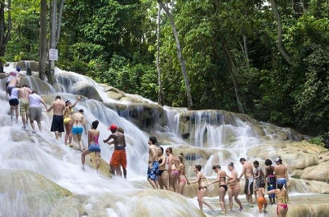 Dunn's River Falls and Horse Back Riding Excursion - Weather and Physical Comfort