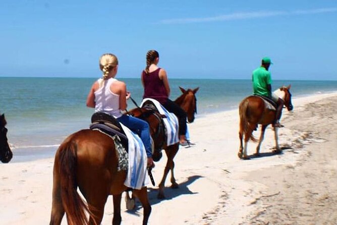 Dunn's River Falls and Horseback Riding Tour from Montego Bay - Who will enjoy this combination most