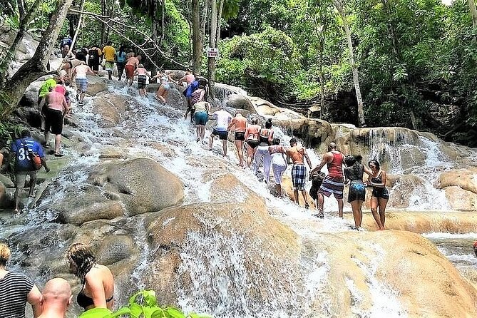 Dunn's River Falls and Horseback Riding Tour from Montego Bay - Is the Dunn’s River and horseback tour worth booking?