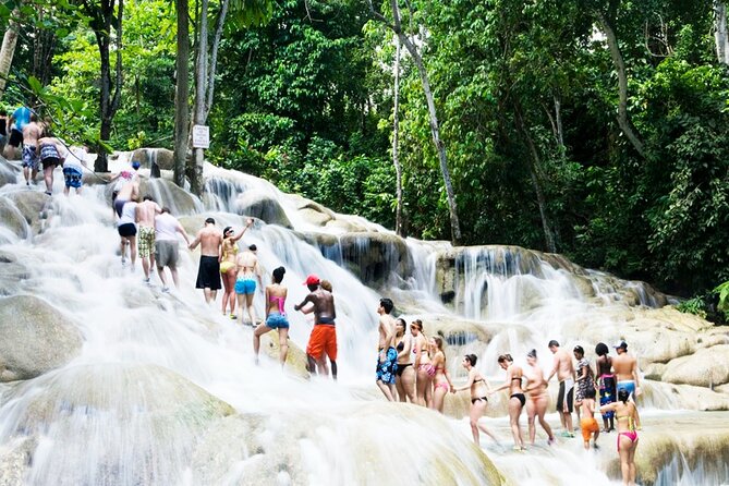 Dunn's River Falls and Horseback Riding Tour from Montego Bay - Why the private vehicle matters from Montego Bay