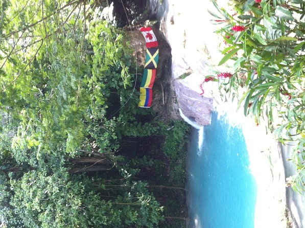 Dunn's River Falls and Jamaica Sightseeing Private Tour - Columbus Park and St. Ann’s Coastal Views
