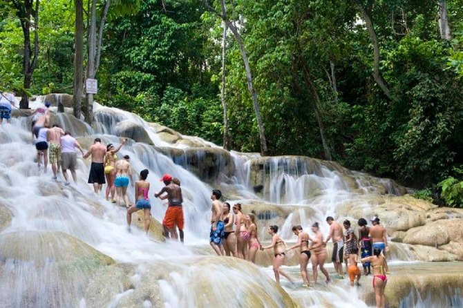 Dunn's River Falls and Luminous Lagoon Guided Tour from Grand Palladium - How the guide can shape the day