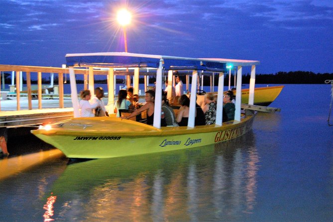 Dunn's River Falls and Luminous Lagoon Guided Tour from Grand Palladium - The scenic drive through Jamaica’s north coast