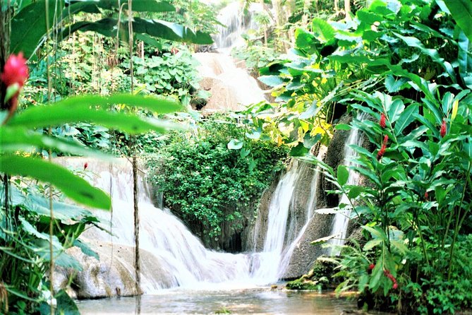 Dunn's River Falls and Ocho Rios Shopping Tour from Montego Bay Hotels - What the $135 price really covers