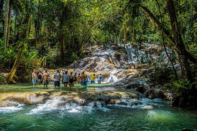 Dunn’s River Falls and Zipline with Roundtrip Transfers - Key points at a glance
